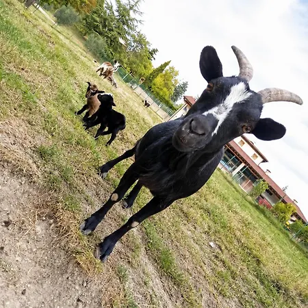 Farmház Corte Maccini *