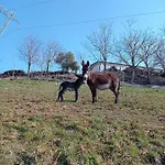 Corte Maccini *